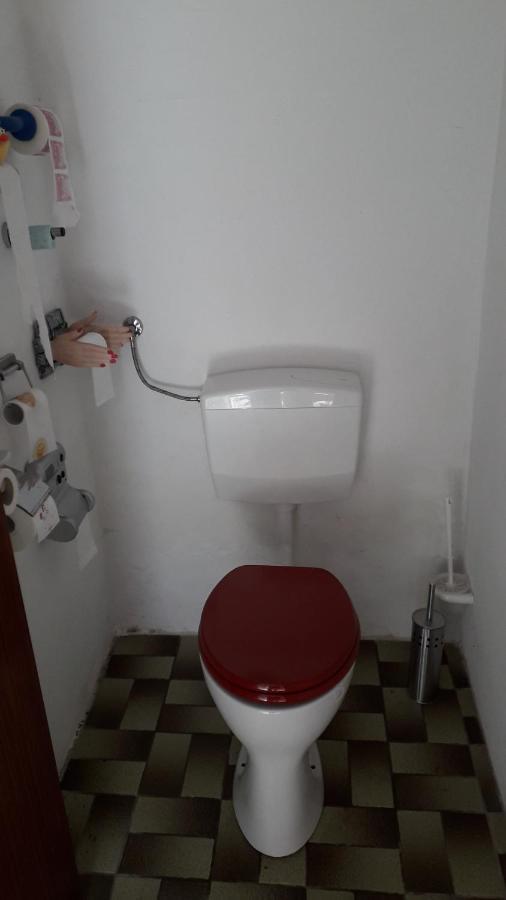 Karl Vakantie Boerderij De Boerenzwaluw מראה חיצוני תמונה
