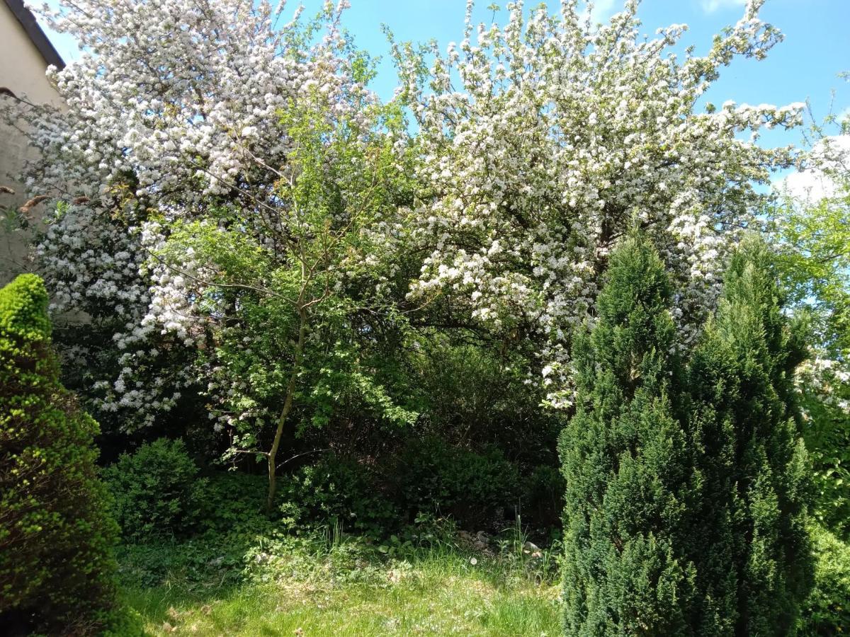 Karl Vakantie Boerderij De Boerenzwaluw מראה חיצוני תמונה